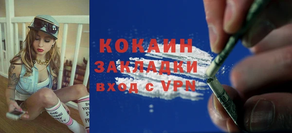 хмурый Арсеньев