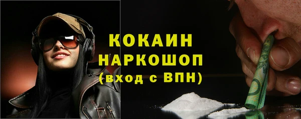 хмурый Арсеньев