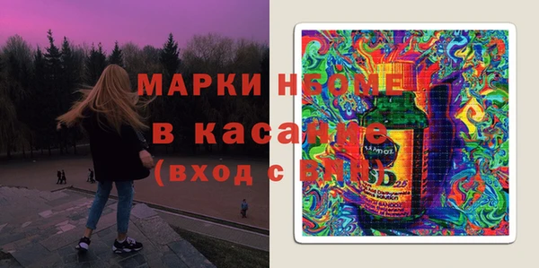 хмурый Арсеньев