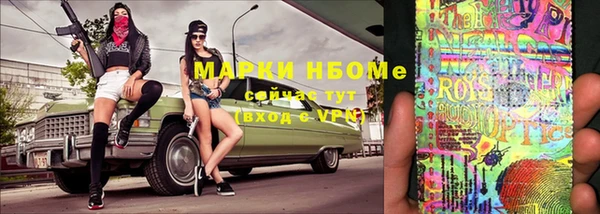 хмурый Арсеньев