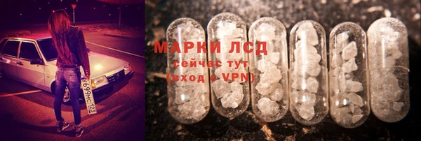 хмурый Арсеньев