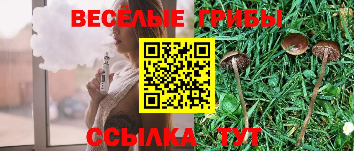 Урюпинск  Галлюциногенные грибы Psilocybine cubensis  Вход с VPN 